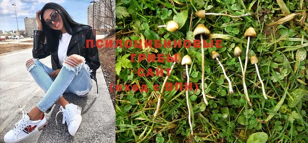 марки nbome Баксан