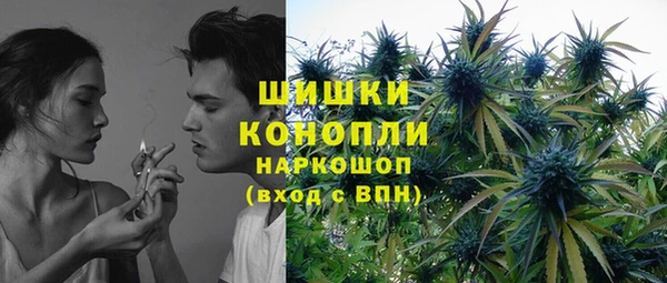 spice Снежногорск