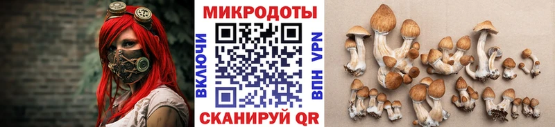 блэк спрут tor  Борисоглебск  Галлюциногенные грибы Magic Shrooms  цены  