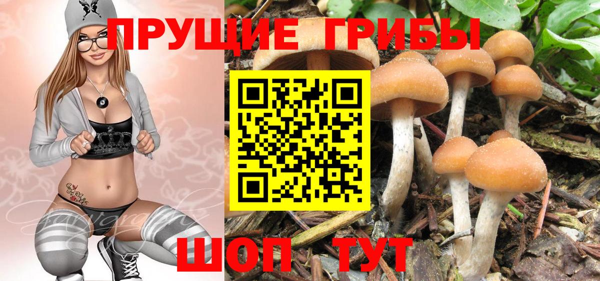 Борисоглебск  Галлюциногенные грибы Magic Shrooms  Вход с VPN 